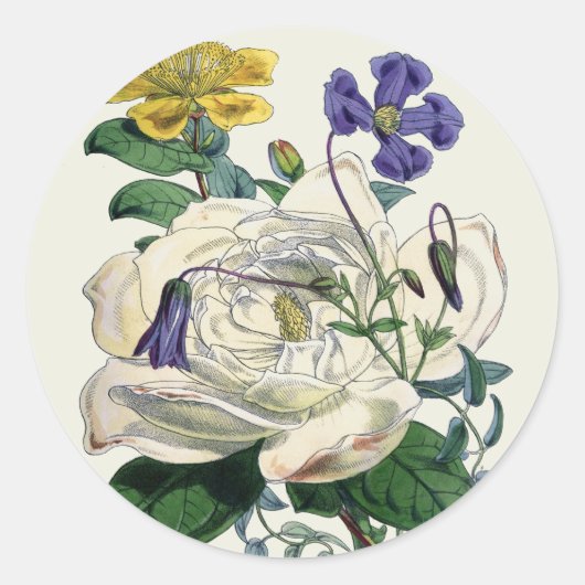 Botanische Magnolia Print - Sticker (Voorkant)