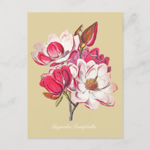 botanische magnolia roze bloemen beige briefkaart