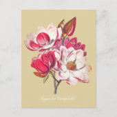 botanische magnolia roze bloemen beige briefkaart (Voorkant)