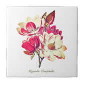  Botanische Magnolia Roze Witte Bloem Tegeltje (Voorkant)