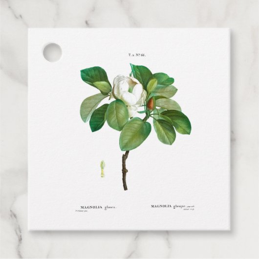  BOTANISCHE "MAGNOLIA" VOOR TAG BEDANKJES LABELS (Voorkant)