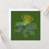 Botanische Mahonia Heester Handgetekend Groen Kaart (Voorkant / Achterkant in situ)