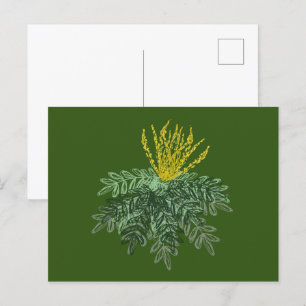 Botanische Mahonia Struik Handgetekend Groen Briefkaart