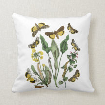 Botanische mode en buikkussen voor katten