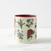  botanische Mok (Midden)