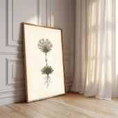 Botanische Mos Campion Cottage Decoratie