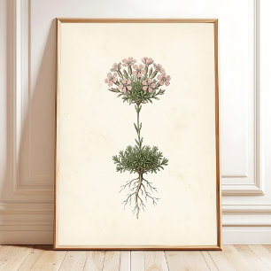 Botanische Mos Campion Cottage Decoratie