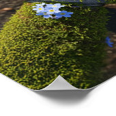 Botanische Mossy Zwaard Blauw Vergeet-Me-Niet Bloe Poster (Hoek)