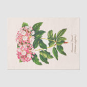  Botanische Mountain Laurel Bloem Decoupage Tissuepapier (Voorkant)