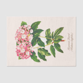 Botanische Mountain Laurel Bloem Decoupage Tissuepapier
