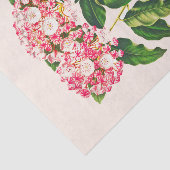 Botanische Mountain Laurel Bloem Decoupage Tissuepapier (Detail)