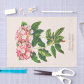  Botanische Mountain Laurel Bloem Decoupage Tissuepapier (Craft)