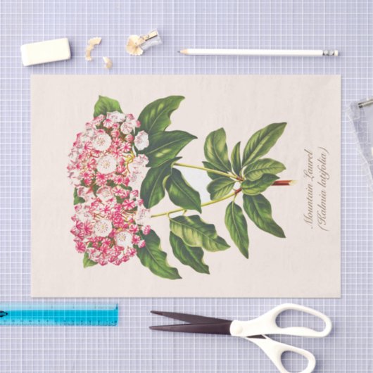 Botanische Mountain Laurel Bloem Decoupage Tissuepapier (Craft)