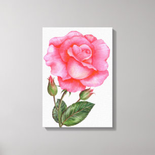 Botanische Muur Kunst Roze Rose Bloemen Bloemen Bl Canvas Afdruk