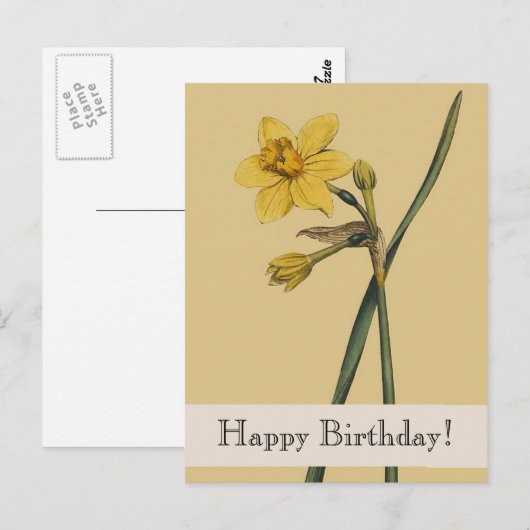  Botanische narcis Happy Birthday Briefkaart (Voorkant / Achterkant)