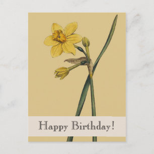  Botanische narcis Happy Birthday Briefkaart