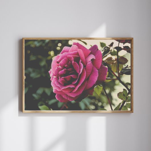 Botanische natuur wandkunst roos print