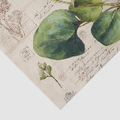 Botanische natuurtekening tissuepapier (Detail)