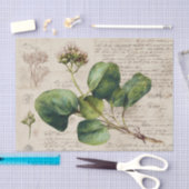 Botanische natuurtekening tissuepapier (Craft)