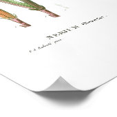  BOTANISCHE "OLEANDER" REDOUTÉ POSTER (Hoek)