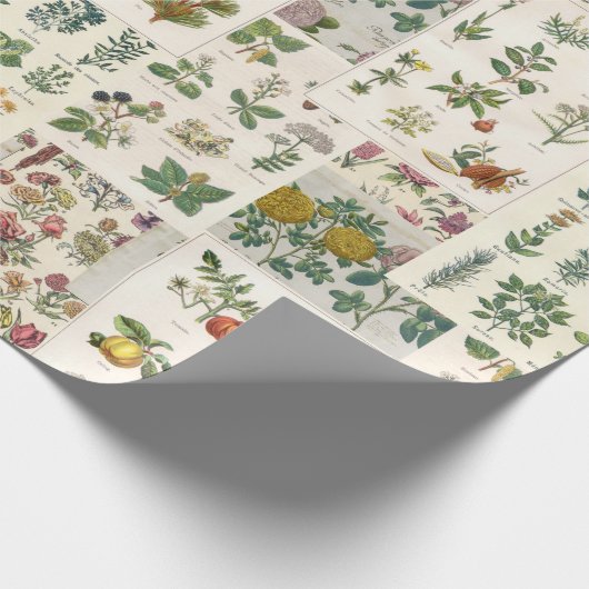  botanische omhulling voor ontleding of schitteren cadeaupapier (Hoek)