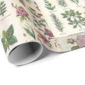  botanische omhulling voor ontleding of schitteren cadeaupapier (Rol Hoek)