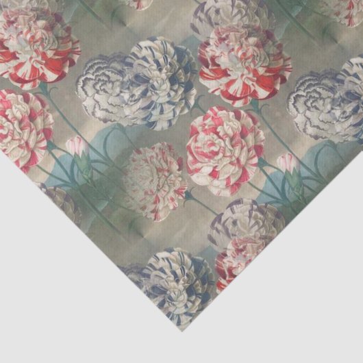 Botanische ontvlechting van  anjers tissuepapier (Detail)