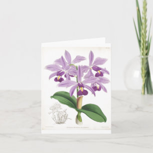  botanische orchideeën Kaart