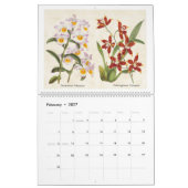  botanische orchideeënillustraties 2026 kalender (Feb 2027)
