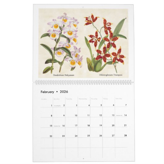  botanische orchideeënillustraties 2026 kalender (Feb 2026)