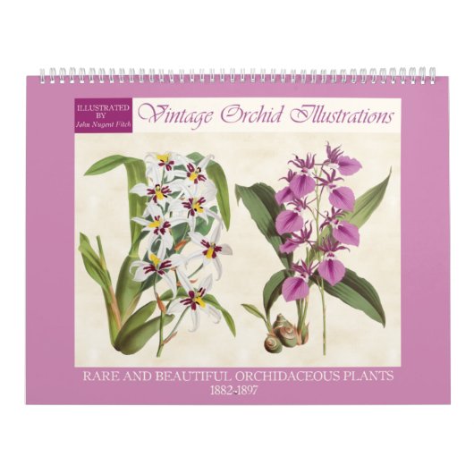  botanische orchideeënillustraties 2026 kalender (Hoes)