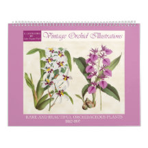  botanische orchideeënillustraties 2026