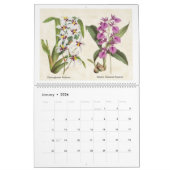  botanische orchideeënillustraties 2026 kalender (Jan 2026)