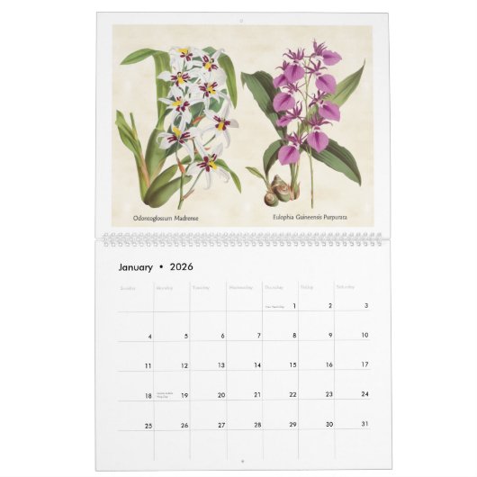  botanische orchideeënillustraties 2026 kalender (Jan 2026)
