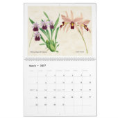  botanische orchideeënillustraties 2026 kalender (Mar 2027)