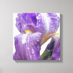 Botanische Paarse irisfoto Canvas Afdruk