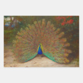  botanische pacocks Peafowl Inpakpapier Vel (Voorkant 3)