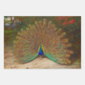 botanische pacocks Peafowl Inpakpapier Vel (Voorkant 2)