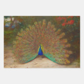 botanische pacocks Peafowl Inpakpapier Vel (Voorkant)