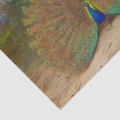 botanische pacocks Peafowl Tissuepapier (Detail)