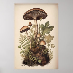 Botanische paddenstoelen in mosvaren, boho bosland poster