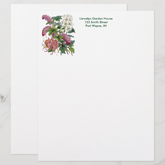  botanische pagina briefhoofd sjabloon (Voorkant / Achterkant)