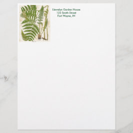  botanische pagina - Fern Custom Briefhoofd