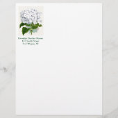  botanische pagina - witte hydrangea briefhoofd (Voorkant)