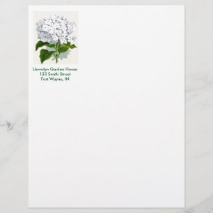 botanische pagina - witte hydrangea briefhoofd