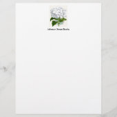botanische pagina - witte hydrangea briefhoofd ontwerp (Voorkant)