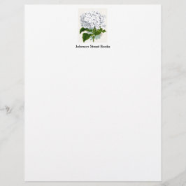  botanische pagina - witte hydrangea briefhoofd ontwerp