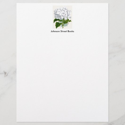  botanische pagina - witte hydrangea briefhoofd ontwerp (Voorkant)
