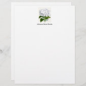  botanische pagina - witte hydrangea briefhoofd ontwerp (Voorkant / Achterkant)