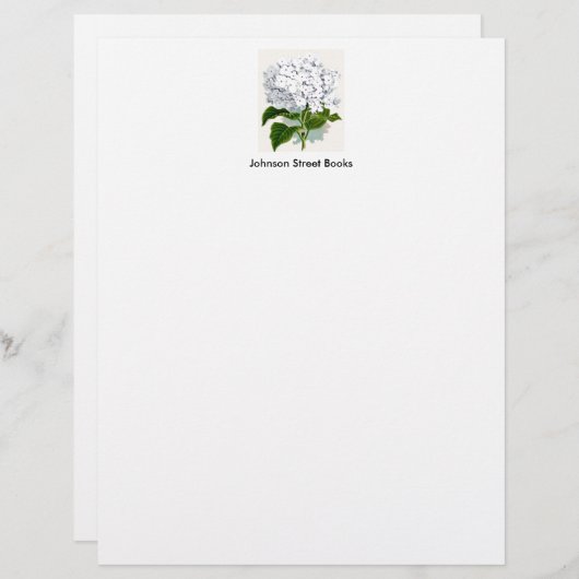 botanische pagina - witte hydrangea briefhoofd ontwerp (Voorkant / Achterkant)